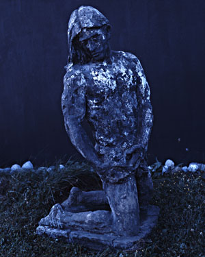 alternate text goes here