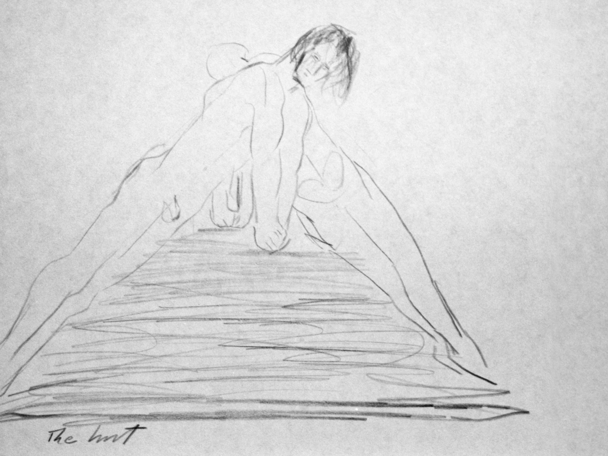 alternate text goes here