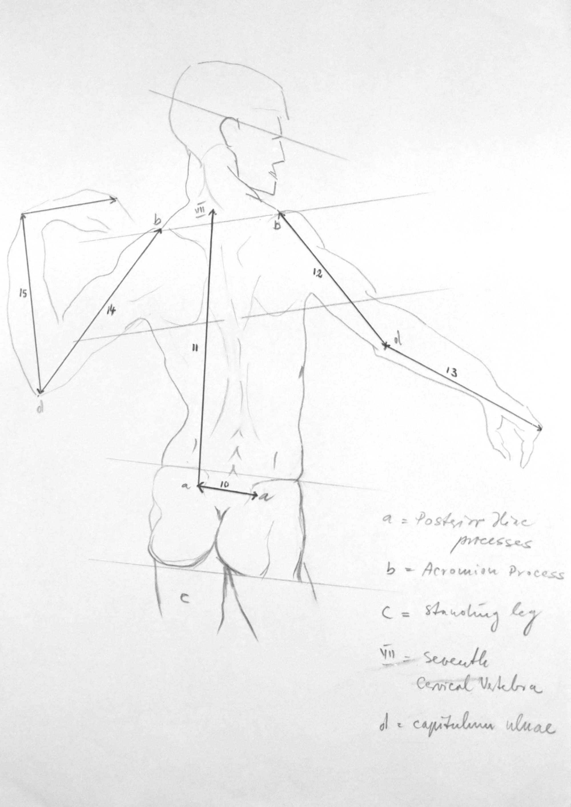 alternate text goes here