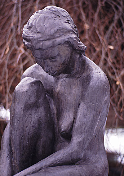 alternate text goes here