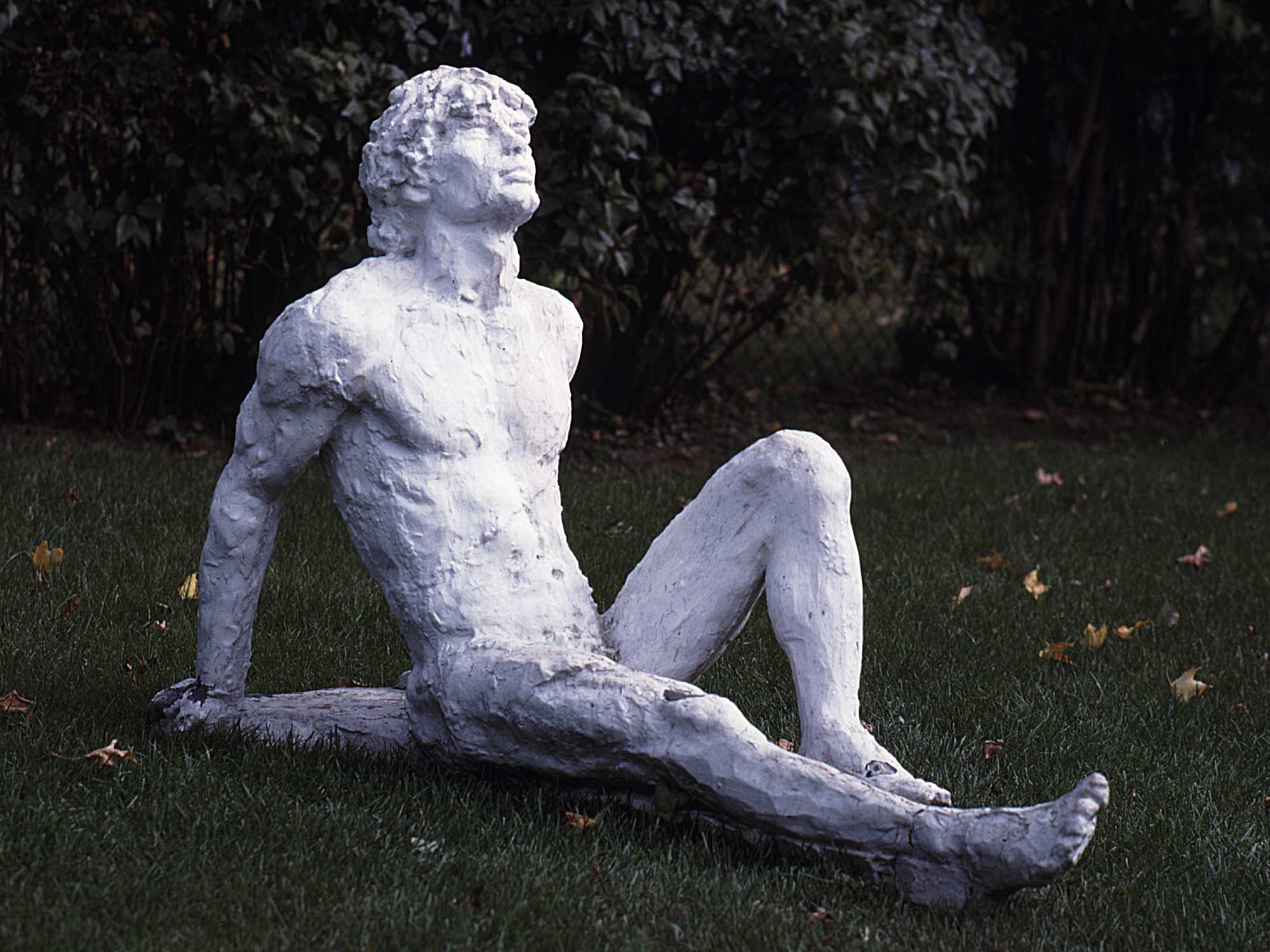 alternate text goes here