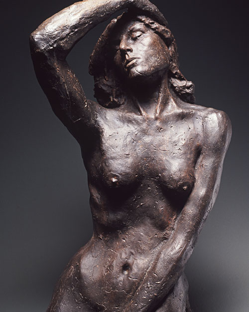 alternate text goes here