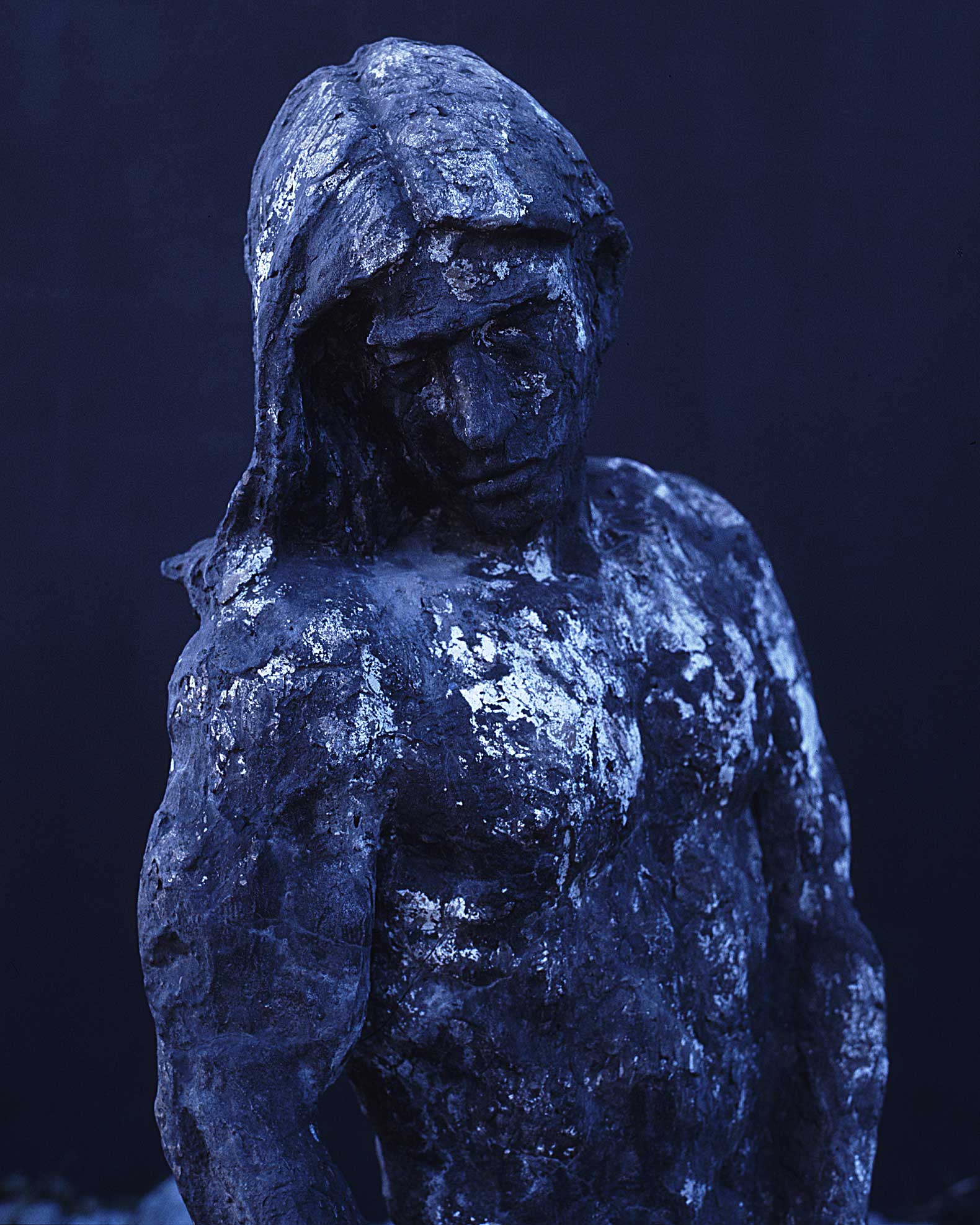 alternate text goes here