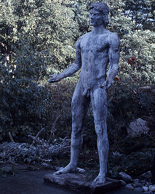 alternate text goes here